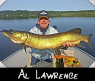 Past Hunter Al Lawrence boated this 36 1/2 ” musky guided by Ken Lawrence
