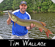 Past Hunter Tim Wallace boated this 46 3/4” musky guided by Don Ladubec