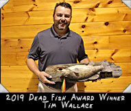 2019 Dead Fish Award winner Tim Wallace