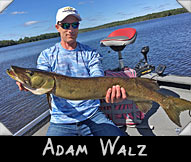 2019 Keep Hammring Contestant Adam Walz landed this 36 1/2-inch musky guided by Bruce Meihsner