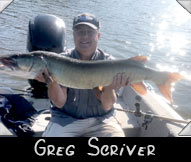Past Hunter Greg Scriver landed this 43 1/2-inch musky guided by Jim Sprangers