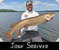 Past Hunter Josh Scriver boated this 44 1/2-inch beauty guided by Eric Driessen