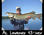 Al Lawrence 43-inch musky