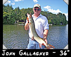 John Gallagher, 36-inch musky