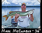 Mark McCumber, 36-inch musky