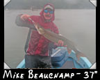 Mike Beauchamp 37-inch musky