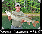 Steve Janowski 36.5-inch musky