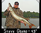 Steve Ocero 43-inch musky