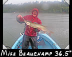 Mike Beauchamp, 36.5-inch musky