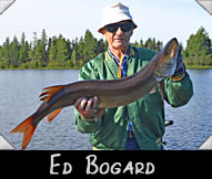 Past Hunter Ed Bogard with 38 1/2-inch musky, guided by Don Ladubec