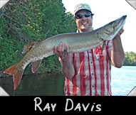 Past Hunter Ray Davis  with 42-inch musky guided by John Farrow