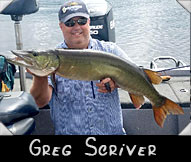 Past Hunter Greg Scriver boated this 40 -inch musky guided by Bill Donner
                  
                  