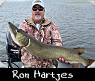 2023 Three Musky-Teers contestant Ron Hartjes landed this 40 1/2-inch musky guided by Joe Pletta