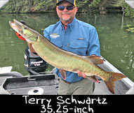 Past Hunter Terry Schwartz landed this 35.25-inch beauty guided by Lonn Lau