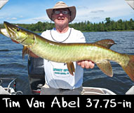 Past Hunter Tim Van Abel  landed  this 37.75-inch beauty while guided by Joe Junion