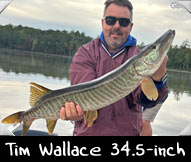 Past Hunter Tim Wallace landed this 34.5-inch beauty while guided by Ron Rickman